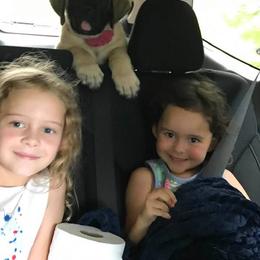 Mastiff Puppies from Celtic's Mastiffs