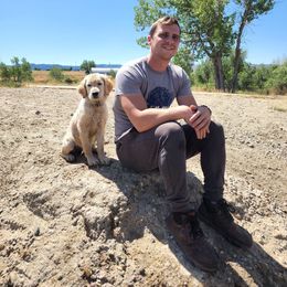 Golden Retriever Puppies from Hope Service Dogs, Inc