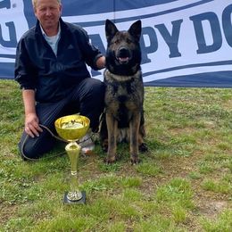 Alexa - German Shepherd