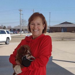 Aussiedoodle, Cavapoo, and Poodle Puppies from B&M Cottonwood Canines