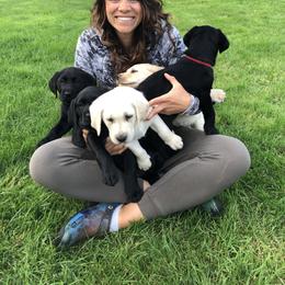 Labrador Retriever Puppies from Mayfield Farm