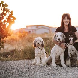 Bernedoodle, Goldendoodle, and Poodle Puppies from Northwest Pups