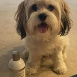 Cavaton All Grown Up from Lakeshore Cavatons