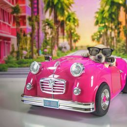 Just Ken Doll - Light golden Golden Retriever puppy in Sierra Vista, Arizona from Golden Borealis