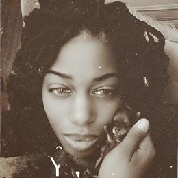 Biewer Terrier, Yorkipoo, and Yorkshire Terrier Puppies from Tiny Paws Luxury Pets