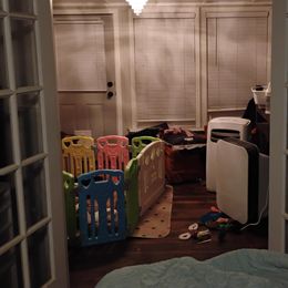 Cavapoos from Velvet Paws Cavapoos