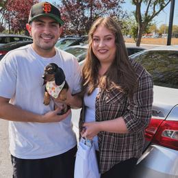 Bento - Black and tan male Dachshund puppy in Brownsville, California from Pine & Pasture Dachshunds