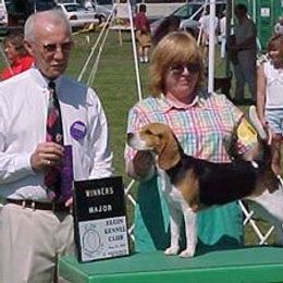 Beagles from Ellanne's Beagles