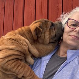 Chinese Shar-Pei from CarPeiDiem Chinese Shar-Pei