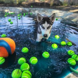 Siberian Husky Puppies from Phresh Pharm Husky Ranch