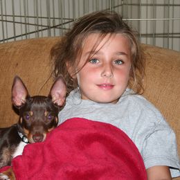 Rat Terrier Puppies from RaganRat Terriers