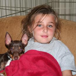 Rat Terrier Puppies from RaganRat Terriers