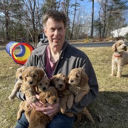 Goldendoodle Puppies from Loving Hearts Goldendoodles