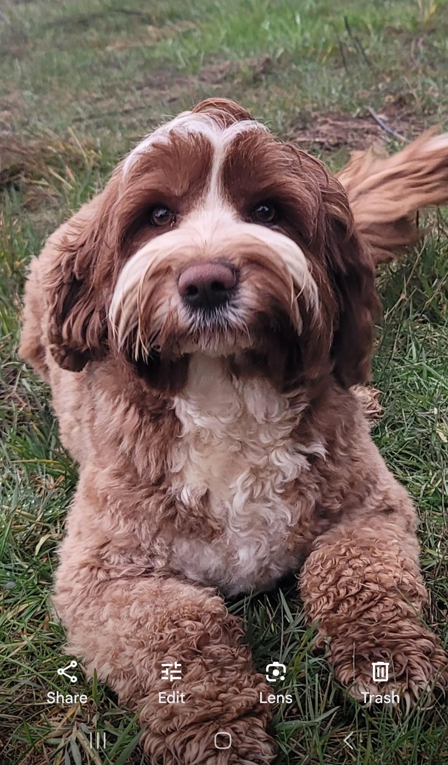 Patsy