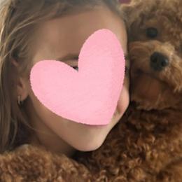 Goldendoodles from Krista Taylor