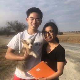 Pembroke Welsh Corgi Puppies from Loves Classic Corgis