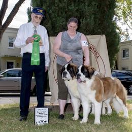 Saint Bernard All Grown Up from Metal Saints