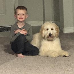 Goldendoodle Puppies from Lundee Doodles