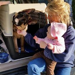 German Shepherd Puppies from von Nadar German Shepherds
