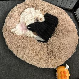 Olaf - White and tan male Mal-Shi puppy in Mundelein, Illinois from FurEver Friends Designer Breeds