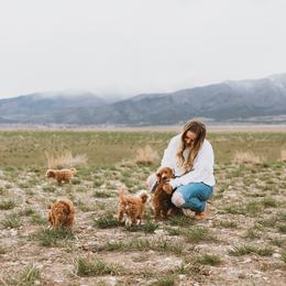 Bernedoodle, Boxer, Goldendoodle, and Havapoo Puppies from Lady Paws Puppies
