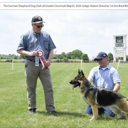 Mulan - German Shepherd