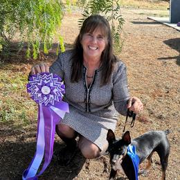 Fetch - Rat Terrier