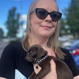'Larry' formerly Choco Taco, Chocolate boy 1 - Black male Pug puppy in Onalaska, Washington from Cupid’s Pugs