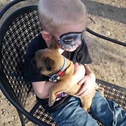 French Bulldog Puppies from Ginny's Frenchie's