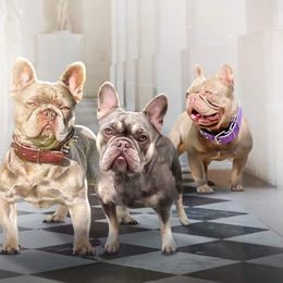 French Bulldogs from CZ1BULLIES