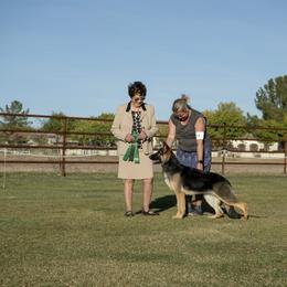 Alaskan Malamute and German Shepherd All Grown Up from Snowybleu Kennels