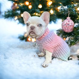 Opal - French Bulldog