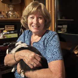 Australian Shepherd Puppies from Wild Atlantic  Aussies