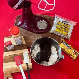 White Collar - Brown male Boykin Spaniel puppy in Hurtsboro, Alabama from PARK’s Family Farm