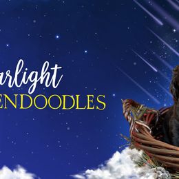 Goldendoodles and Poodles from Starlight Goldendoodles