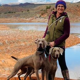 Weimaraners from Fellowship Weimaraners