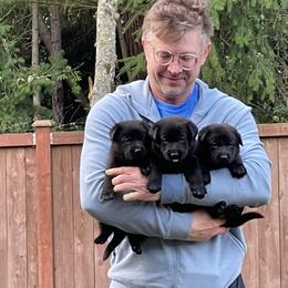 German Shepherd Puppies from Von Lambor German Shepherds