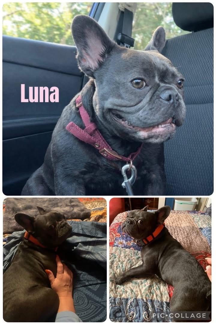 Luna