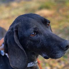 Plotts from Badlands Plotts