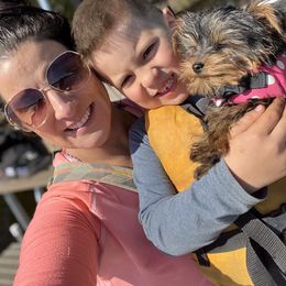 Yorkshire Terrier Puppies from Celestial Family Terriers (Yooper Yorkies)