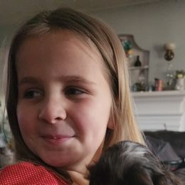 Boston Terrier and Cocker Spaniel Puppies from Down in the Holler