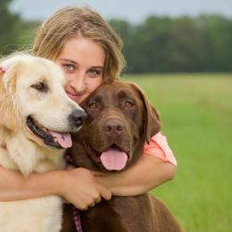 Labrador Retrievers from Southern Belle Kennels