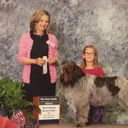 Wirehaired Pointing Griffons from Southern Fire Griffons