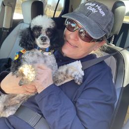Aussiedoodle, Cavapoo, and Poodle Puppies from Perkins Pups
