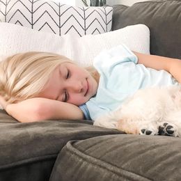 Australian Labradoodle Puppies from Tiny Treasures Australian Labradoodles