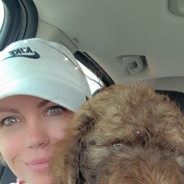 Aussiedoodle and Bordoodle Puppies from Texas Made Doodles