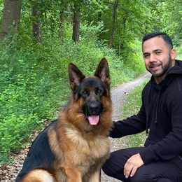 German Shepherds from Von Legends Burg