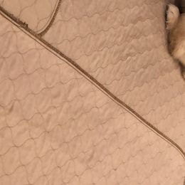 Golden Retriever Puppies from OPK GOLDENS