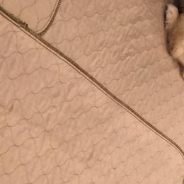 Golden Retriever Puppies from OPK GOLDENS