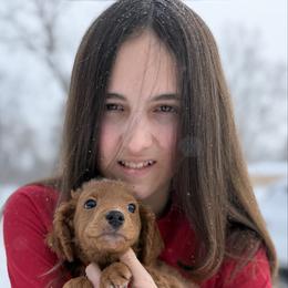 Red Puppies - Red  male Goldendoodle puppy in Rush, New York from Care Bear Puppies